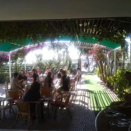 Vela Velo Club Hotel